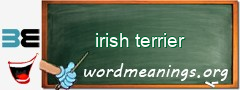 WordMeaning blackboard for irish terrier